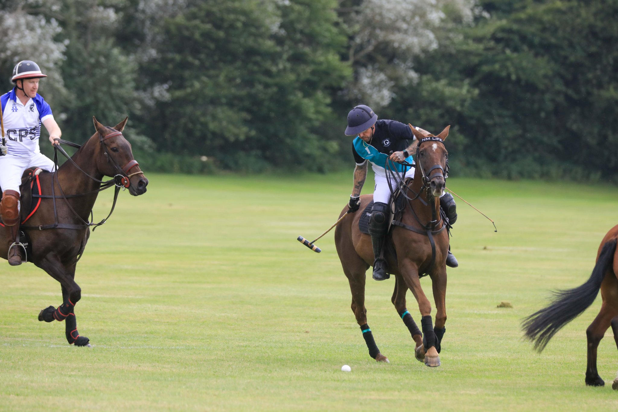 The Viking Polo Cup. Photo by Callum Staley (CJS Photography)