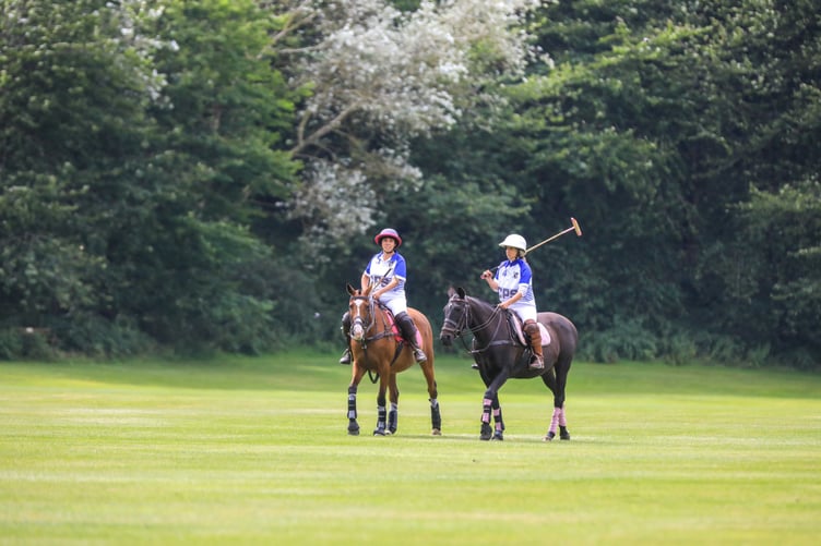 The Viking Polo Cup. Photo by Callum Staley (CJS Photography)