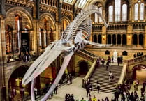 Summer adventures on a shoestring: Fifty family days out for under £20