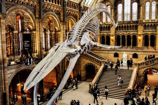 The Natural History Museum in London is a top family attraction – and costs nothing to enter!
