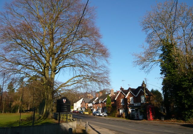The village of Wormley is to be incorporated into Waverley Western Villages to improve election equality