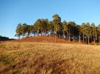 Complaints about lack of disabled parking at Bourne Wood