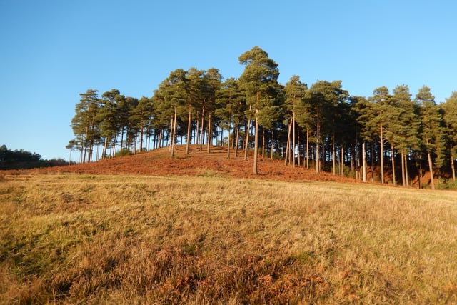 Game of Thrones prequel 'House of the Dragon' filming near Farnham