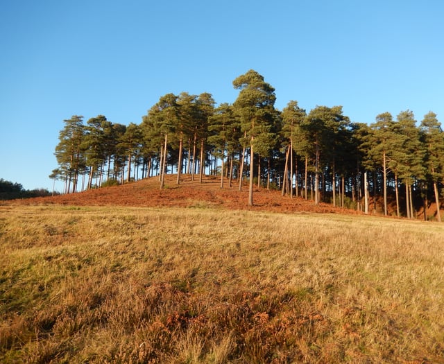 Game of Thrones prequel 'House of the Dragon' filming near Farnham