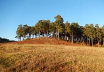 American spy action thriller to be filmed in Farnham woods?