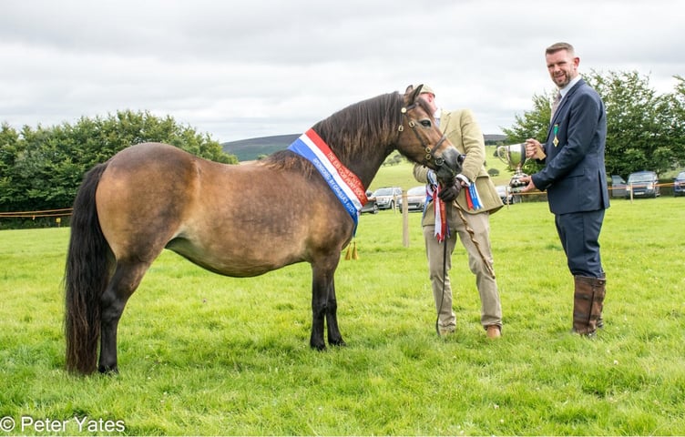Bluebarn Nancy, led by Julian Walters, with Michael Dewhurst, EPS president presenting the supreme champion trophy.