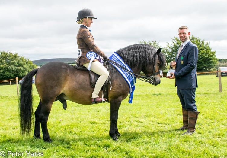 Blackthorn Poldark, ridden by Jessica Talbot and owned by Julian Walters and David Hodge, with Michael Dewhurst presenting the reserve supreme trophy.