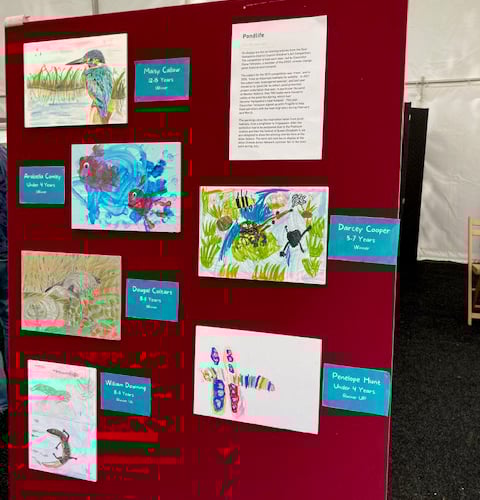 East Hampshire District Council pond life children's art competition winners and runners-up at Alton Eco Fair, July 16th 2023.