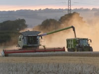 Binsted wheat crop gathered by combine harvester – with a fridge!