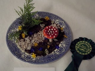 A winning craft exhibit in the children's section of Minehead Flower and Produce Show.