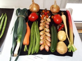Vegetables entered for this year's Minehead Flower and Produce Show.