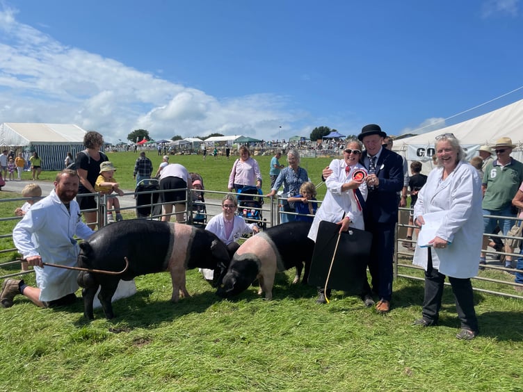 Caroline Dunstan won the Best Pair in the pig class with a pair of British Saddlebacks. AQ 3906