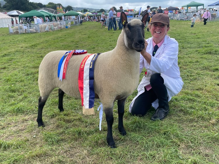 The Champion sheep. AQ 3955