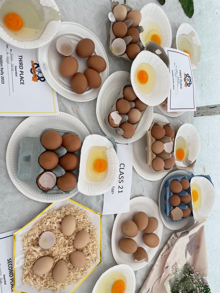 Egg classes in the YFC marquee. AQ 3964