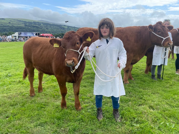 A young exhibitor. AQ 3983