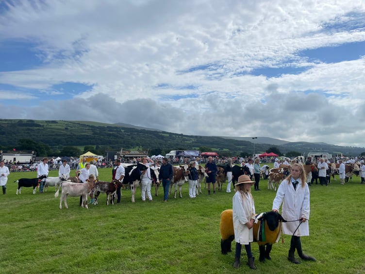 In the main ring. AQ 4004