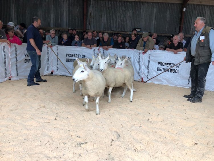 Sheep sales at Central Mart