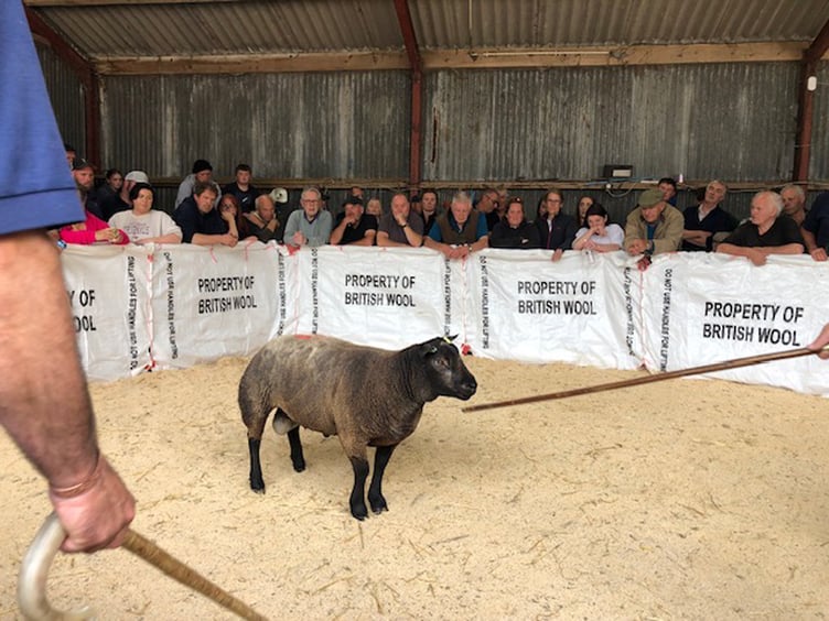 Sheep sales at Central Mart