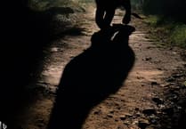 Peeps into the Past: Big cats in the Surrey Hills - fur-fetched or genuine?