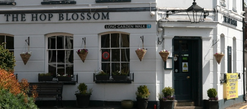 The Hop Blossom