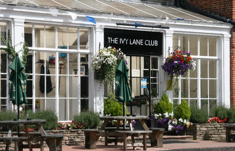 The Ivy