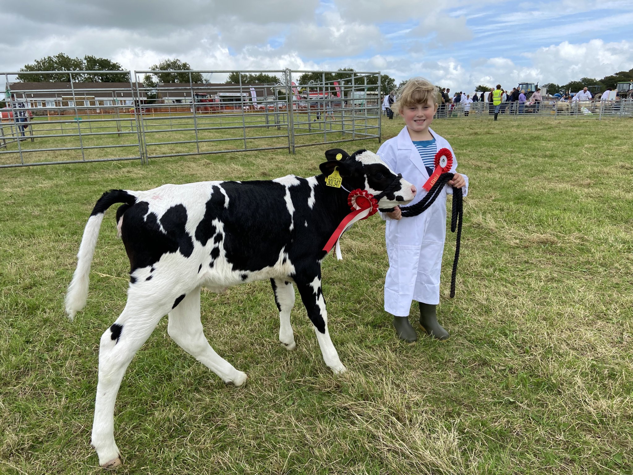 Ivy Webber, four, of Holsworthy, came first in the young handler dairy calf class with one month old ‘Cornetto’