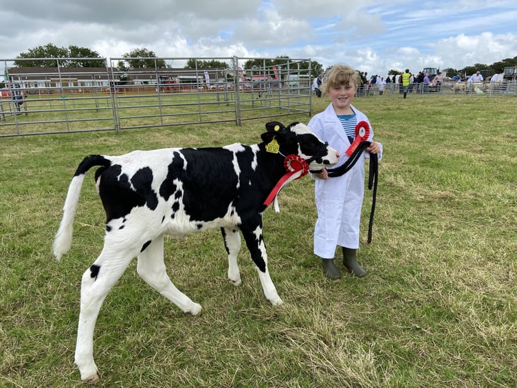 Ivy Webber, four, of Holsworthy, came first in the young handler dairy calf class with one month old ‘Cornetto’