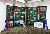 Local winners at this year’s Holsworthy & Stratton show