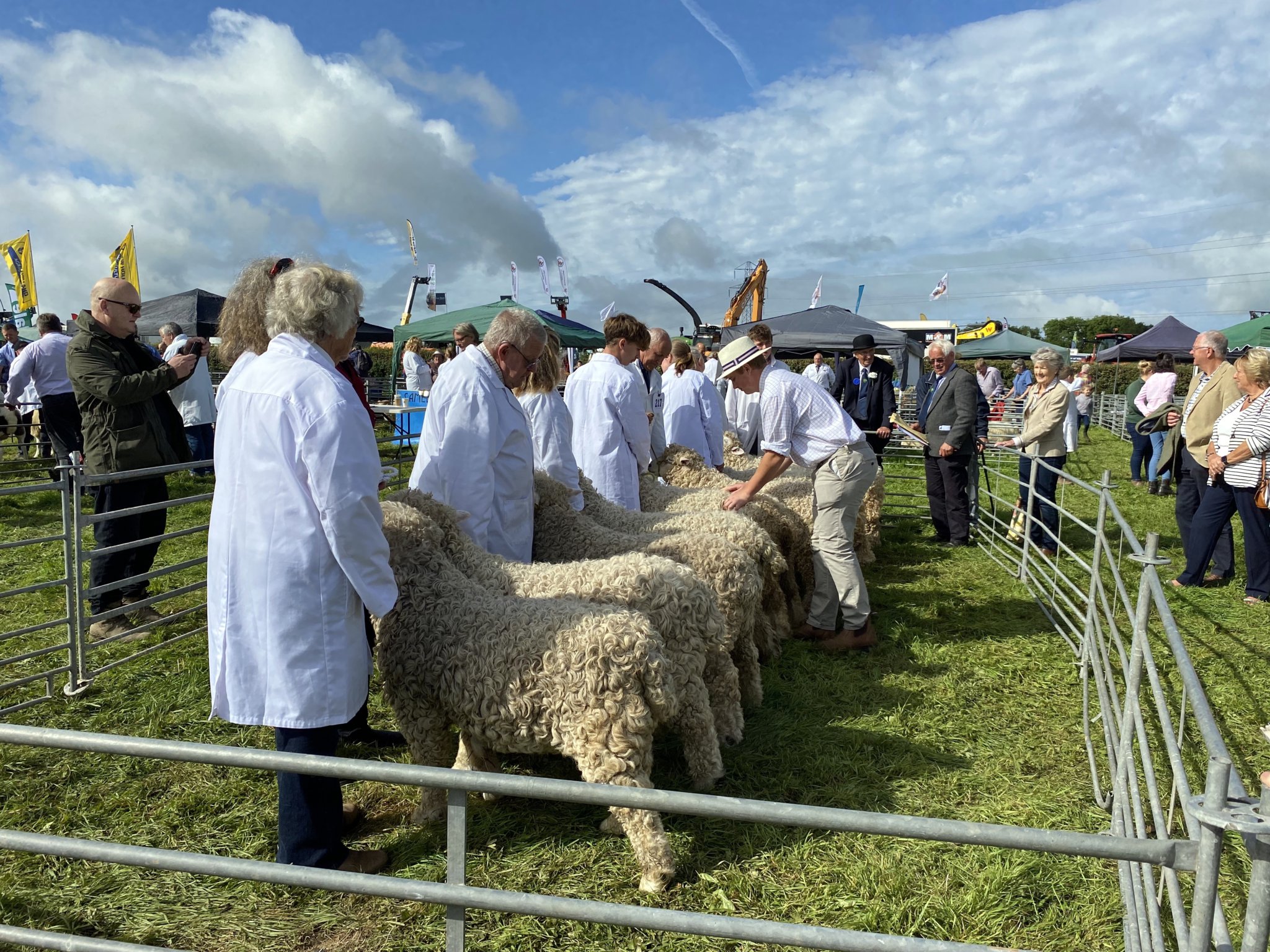 There was a large amount of sheep exhibitors at this years show