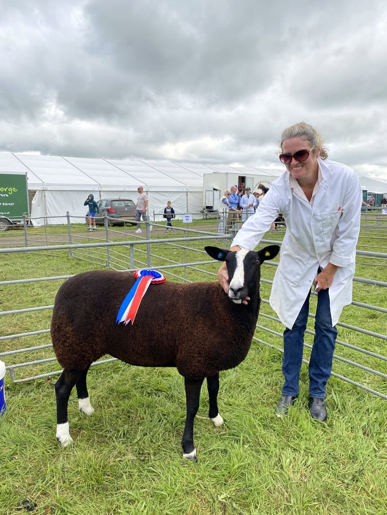 This Zwartble was crowned a champion in it’s class. Owned by Jason Kestell from Laneast, the exhibitors were “delighted” as the mother of this sheep had been crowned champion last year.