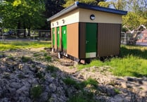 Lion Green toilet blocks: good idea or a real mess?
