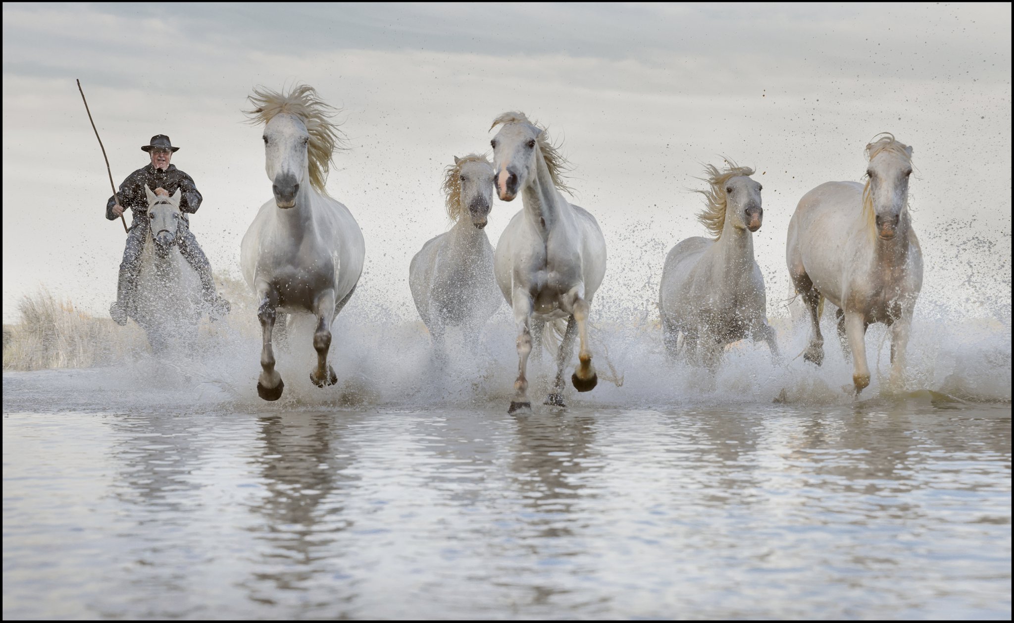 Water Race by Dorothy Flint