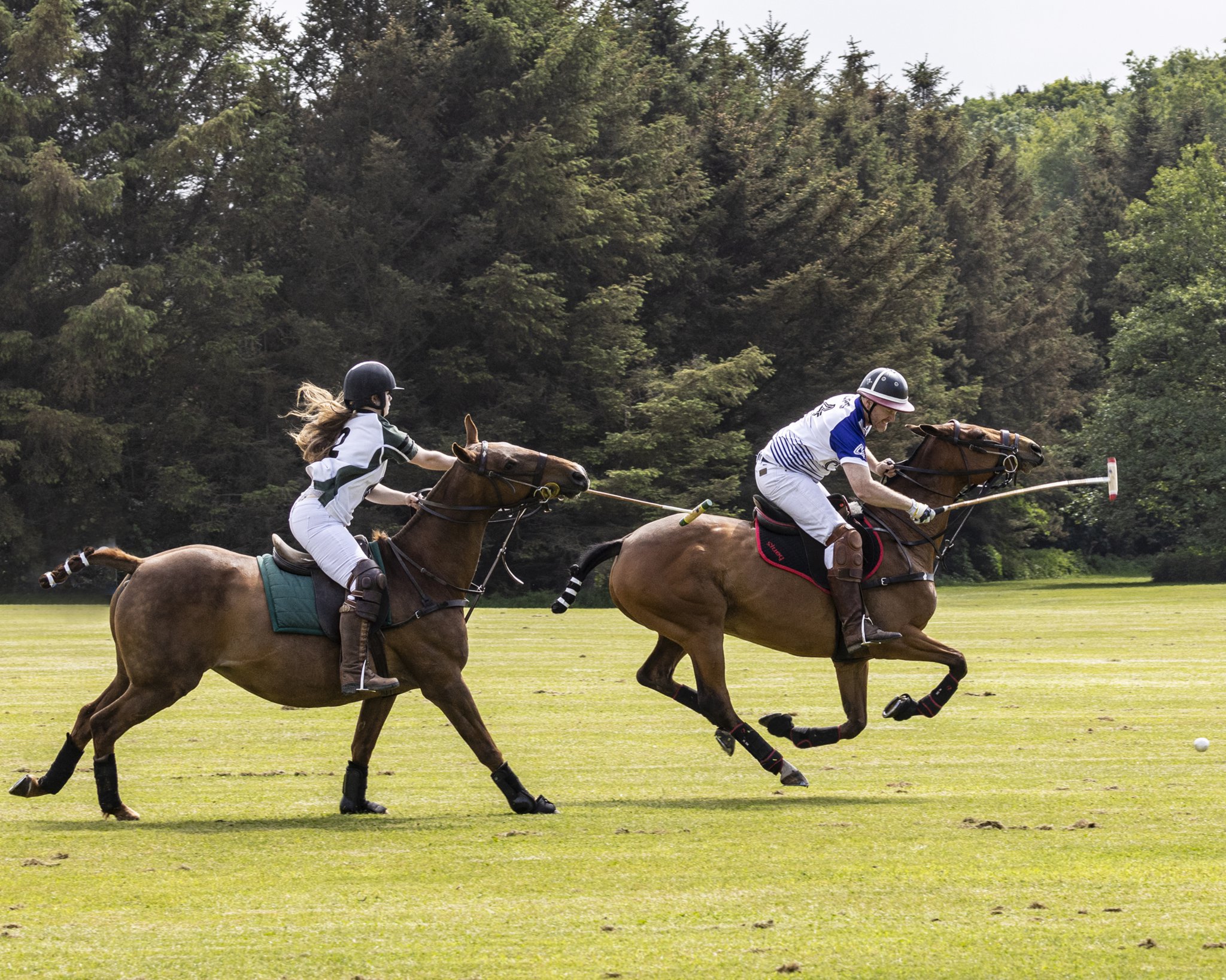Triseklion Polo by John Keelan