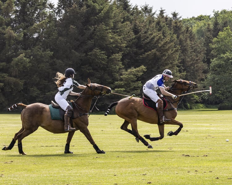 Triseklion Polo by John Keelan