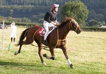 Saddle specialist Easy Company romps to victory at Broadheath Common