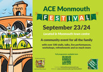 ACE Festival is back and they are looking for volunteers for the event