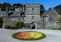 National Trust apple events in Cornwall