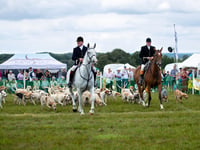 Hampshire Countryside Day returns to Bereleigh Estate