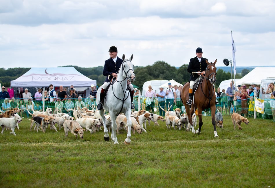 <p>Hounds will feature heavily at the Hampshire Countryside Day at the Bereleigh Estate</p>