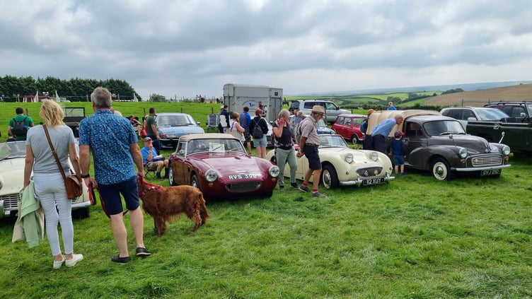 Classic cars at the show