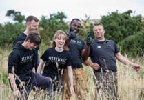 Does your organisation foster a culture of collaboration?