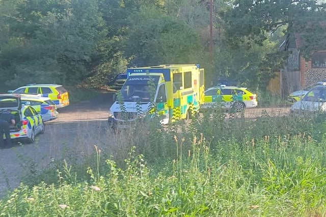 Murder probe launched after toddler dies after being pulled from pond