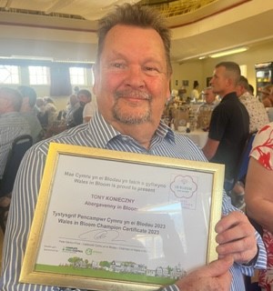 Cllr Tony Konieczny pictured with the Wales in Bloom Champion certificate.