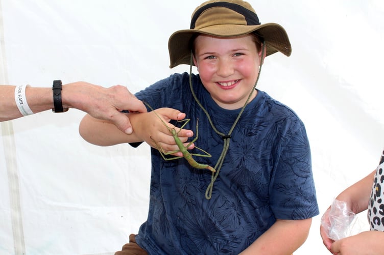 Ten years-old Benjamin with a big stick insect from Exmoor Zoo run by Stephen Eddy. SR 8944