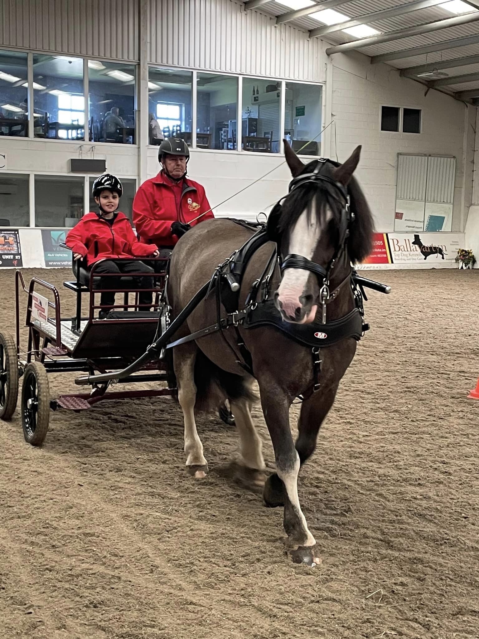 Manx Carriage Driving 4 Disabled - Coby Halsall