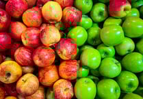 It's Apple Day at St Mark's in Hale this Sunday – and all are invited!