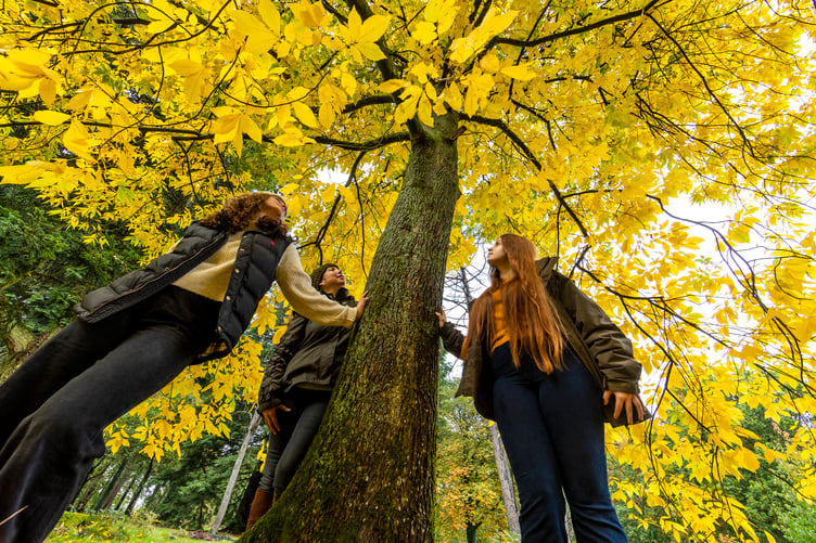 A family enjoying Autumn colours at Cryil Hart Arborteum