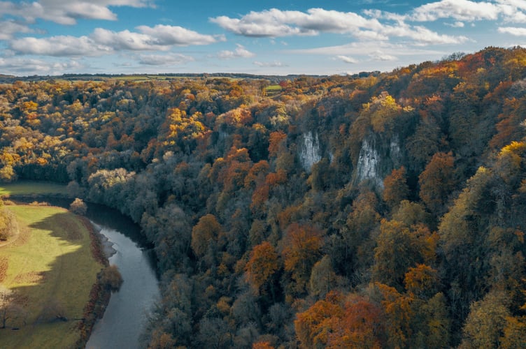 Views of the Wye Valley from Symonds Yat