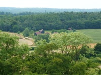 Surrey Hills under threat: Battle over relaxation of conversion rules