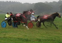 Wales & Border Harness Racing: Llwyns Mercy races to Grade A win at Almely